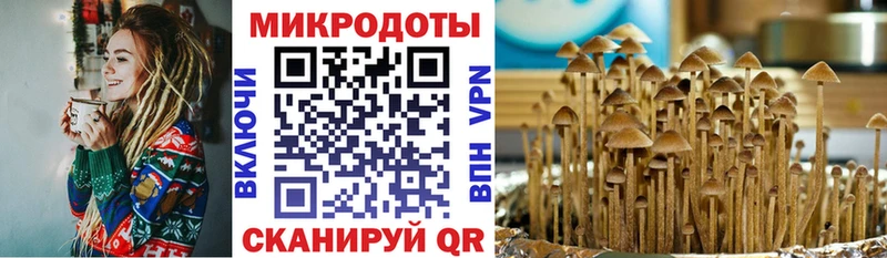 где продают наркотики  Менделеевск  Псилоцибиновые грибы прущие грибы 